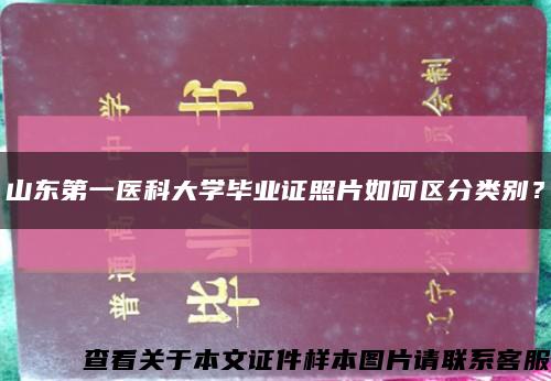 山东第一医科大学毕业证照片如何区分类别？缩略图