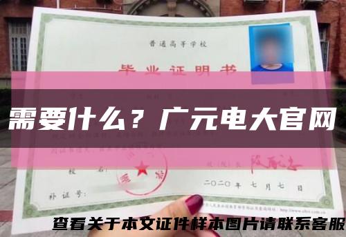 需要什么？广元电大官网缩略图