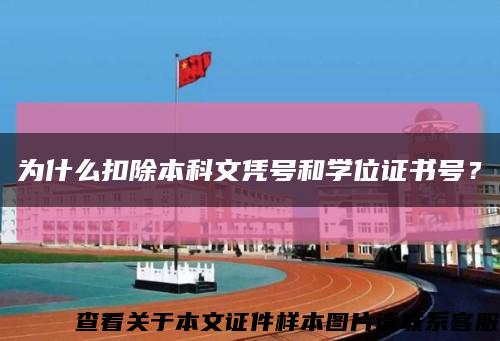 为什么扣除本科文凭号和学位证书号？缩略图