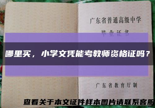 哪里买，小学文凭能考教师资格证吗？缩略图