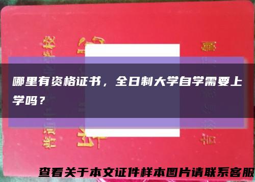 哪里有资格证书，全日制大学自学需要上学吗？缩略图