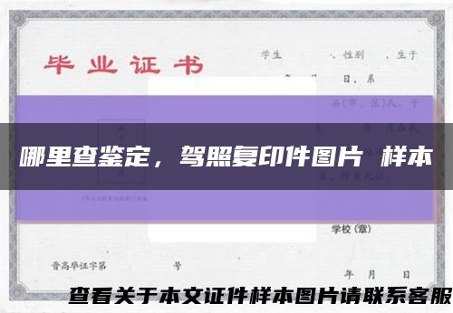 哪里查鉴定，驾照复印件图片 样本缩略图