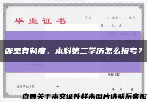 哪里有制度，本科第二学历怎么报考？缩略图