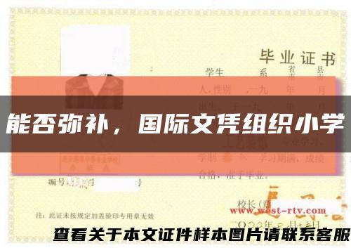 能否弥补，国际文凭组织小学缩略图