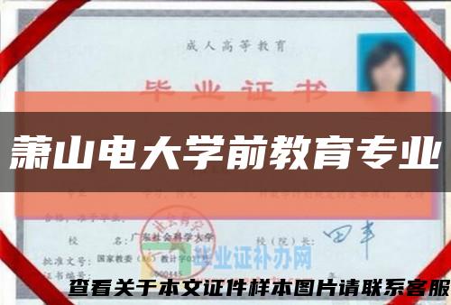 萧山电大学前教育专业缩略图