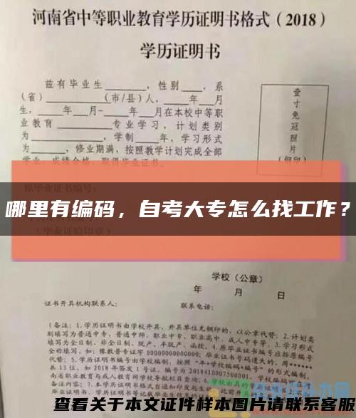 哪里有编码，自考大专怎么找工作？缩略图