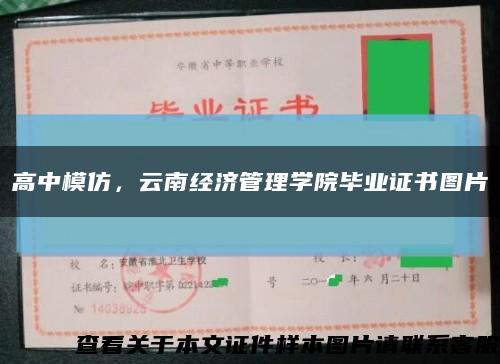 高中模仿，云南经济管理学院毕业证书图片缩略图