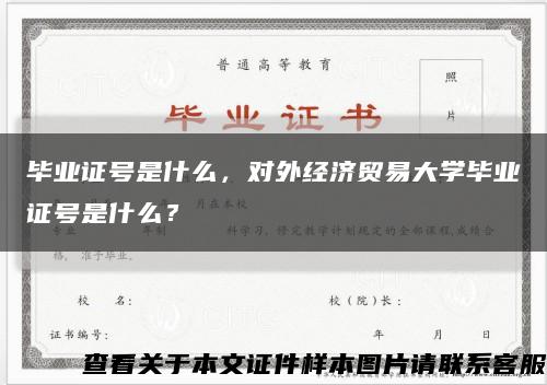 毕业证号是什么，对外经济贸易大学毕业证号是什么？缩略图