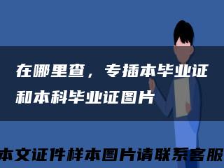 在哪里查，专插本毕业证和本科毕业证图片缩略图