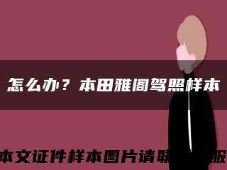 怎么办？本田雅阁驾照样本缩略图