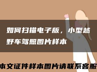 如何扫描电子版，小型越野车驾照图片样本缩略图