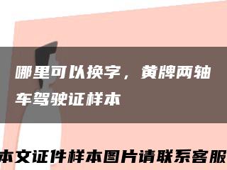 哪里可以换字，黄牌两轴车驾驶证样本缩略图