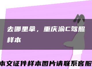 去哪里拿，重庆渝C驾照样本缩略图