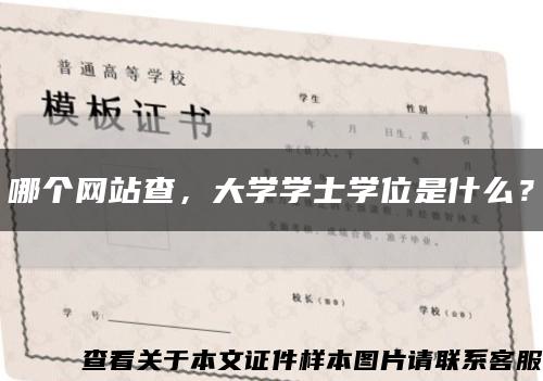 哪个网站查，大学学士学位是什么？缩略图