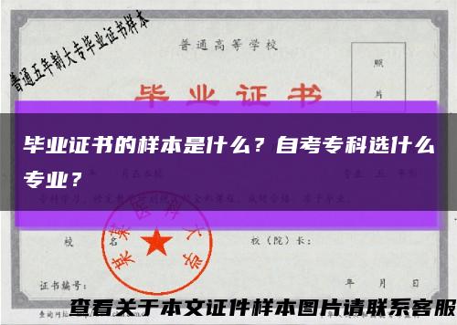 毕业证书的样本是什么？自考专科选什么专业？缩略图