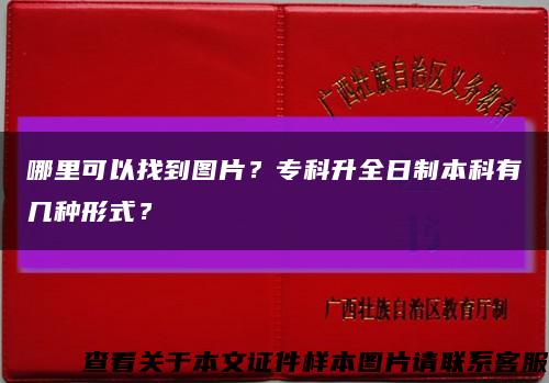 哪里可以找到图片？专科升全日制本科有几种形式？缩略图