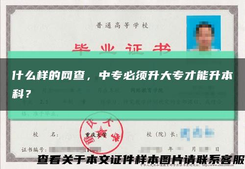 什么样的网查，中专必须升大专才能升本科？缩略图