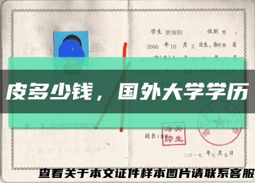 皮多少钱，国外大学学历缩略图