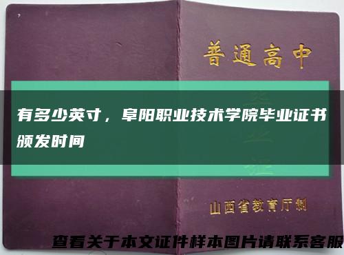 有多少英寸，阜阳职业技术学院毕业证书颁发时间缩略图