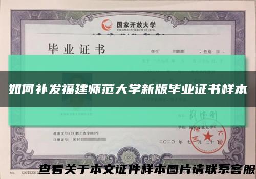 如何补发福建师范大学新版毕业证书样本缩略图