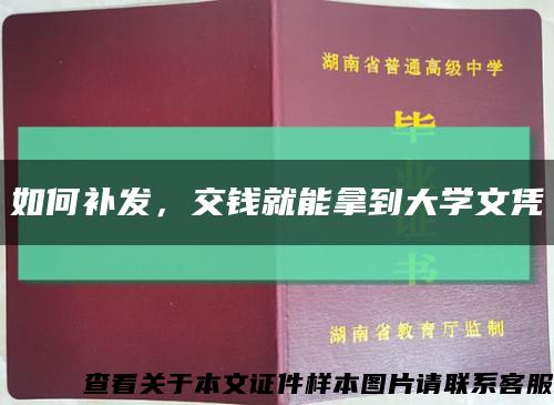 如何补发，交钱就能拿到大学文凭缩略图