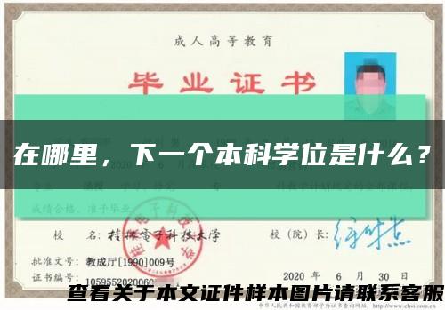 在哪里，下一个本科学位是什么？缩略图