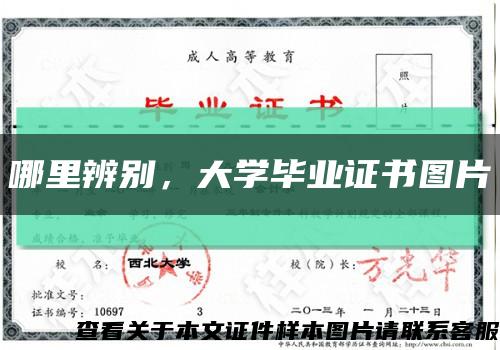 哪里辨别，大学毕业证书图片缩略图