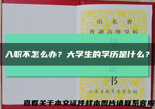 入职不怎么办？大学生的学历是什么？缩略图