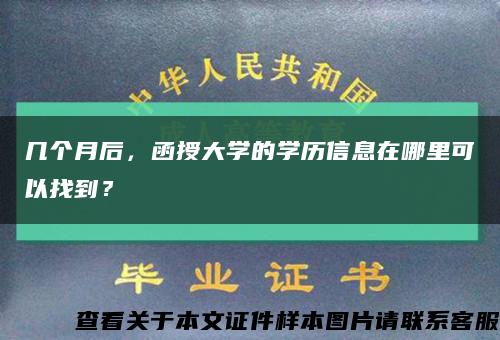 几个月后，函授大学的学历信息在哪里可以找到？缩略图