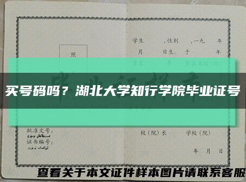 买号码吗？湖北大学知行学院毕业证号缩略图