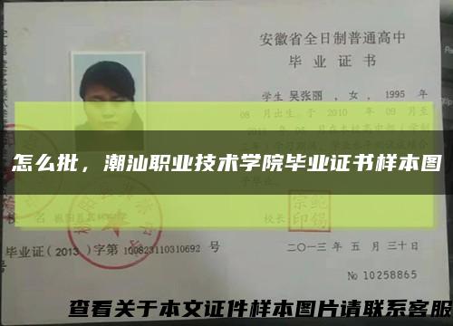 怎么批，潮汕职业技术学院毕业证书样本图缩略图