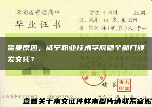 需要原因，咸宁职业技术学院哪个部门颁发文凭？缩略图