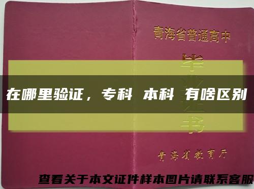 在哪里验证，专科 本科 有啥区别缩略图