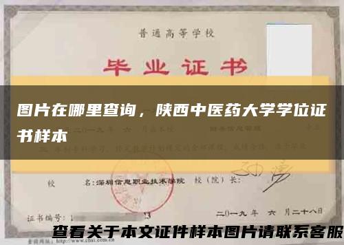 图片在哪里查询，陕西中医药大学学位证书样本缩略图