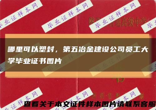 哪里可以塑封，第五冶金建设公司员工大学毕业证书图片缩略图