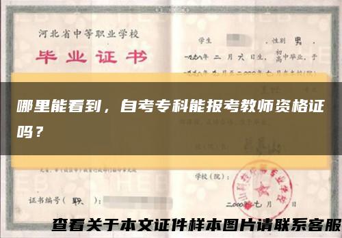 哪里能看到，自考专科能报考教师资格证吗？缩略图