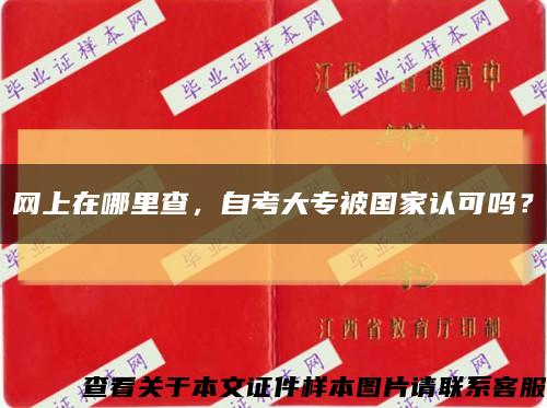 网上在哪里查，自考大专被国家认可吗？缩略图