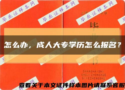 怎么办，成人大专学历怎么报名？缩略图