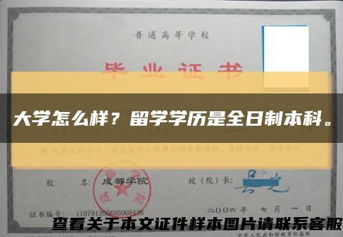 大学怎么样？留学学历是全日制本科。缩略图