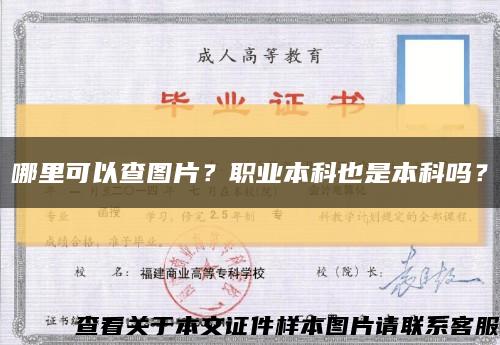 哪里可以查图片？职业本科也是本科吗？缩略图