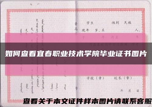 如何查看宜春职业技术学院毕业证书图片缩略图