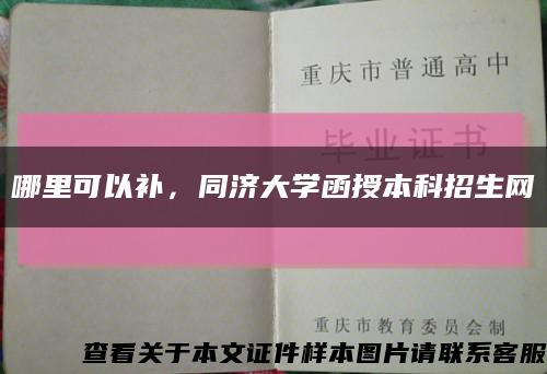 哪里可以补，同济大学函授本科招生网缩略图