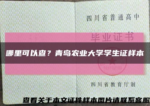 哪里可以查？青岛农业大学学生证样本缩略图