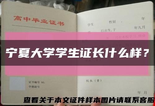 宁夏大学学生证长什么样？缩略图