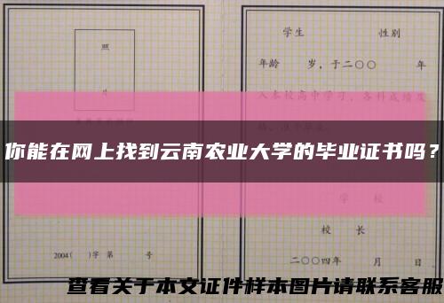 你能在网上找到云南农业大学的毕业证书吗？缩略图