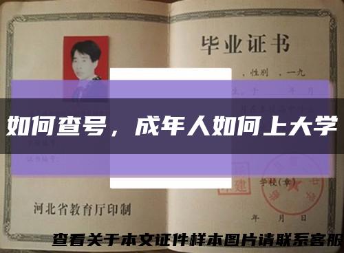 如何查号，成年人如何上大学缩略图