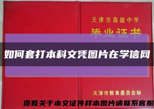 如何套打本科文凭图片在学信网缩略图