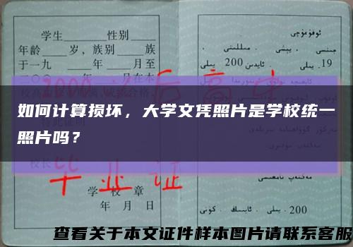 如何计算损坏，大学文凭照片是学校统一照片吗？缩略图