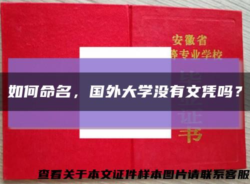 如何命名，国外大学没有文凭吗？缩略图