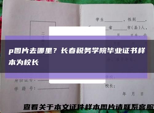 p图片去哪里？长春税务学院毕业证书样本为校长缩略图